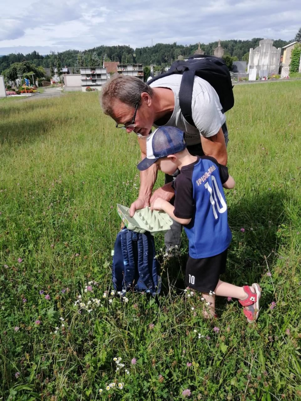 Wildkräuterwandern