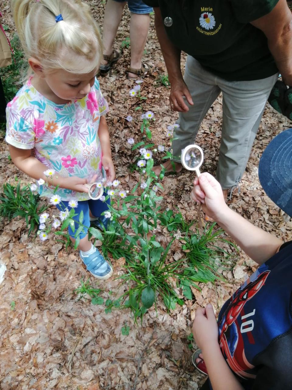 Wildkräuterwandern