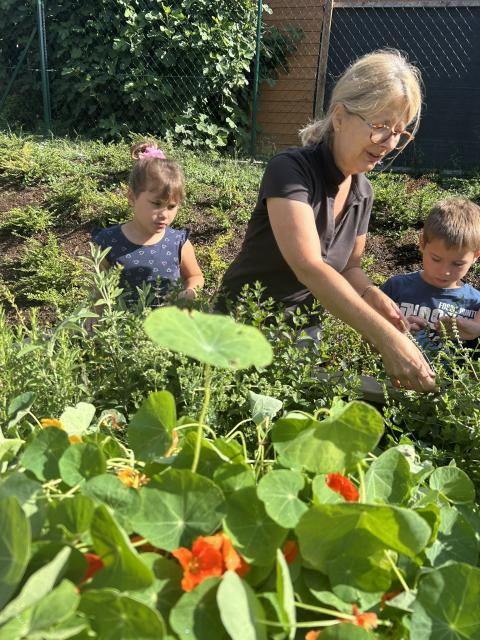 Ferienprogramm für Kinder in der Bibliothek Hitzendorf 